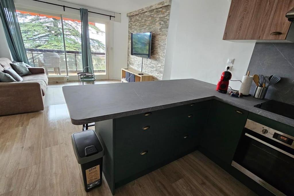 Ferienwohnung Le Duc Thonon-les-Bains Exterior foto